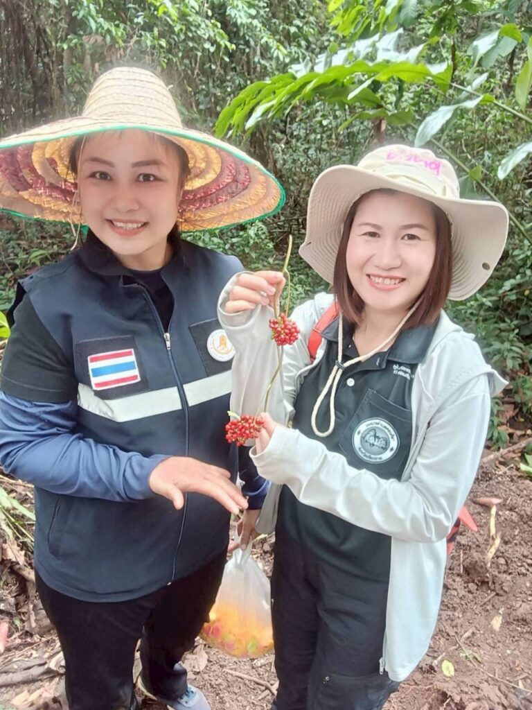 684538791_122209273106571109_4455561787145068378_n-768x1024 ร่วมกิจกรรม kick off การทำแนวกันไฟและการสร้างฝ่ายชะลอน้ำ
