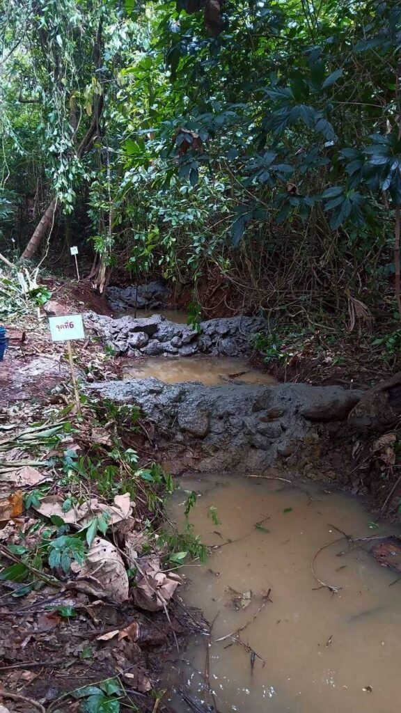 705381993_122211735884571109_5205949019952511777_n-576x1024 ร่วมเป็นส่วนหนึ่งในการอนุรักษ์ทรัพยากรธรรมชาติสร้างฝายชะลอน้ำ